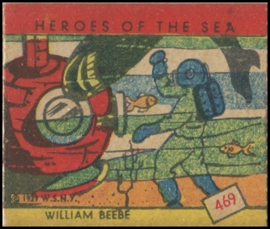 469 William Beebe